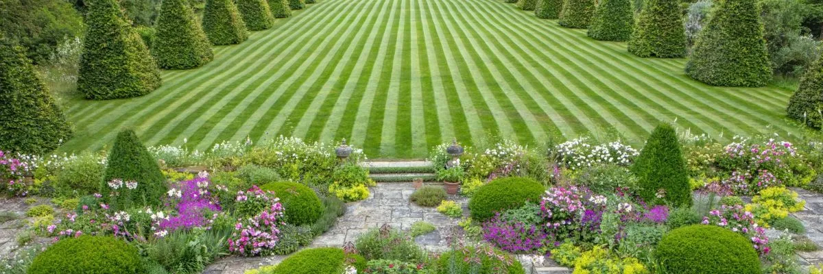 A&J Lawn Care banner