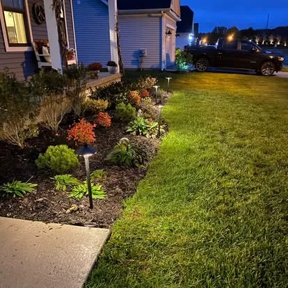 Low voltage landscape lighting along a garden bed and lawn edge installed by Elzey Services in Delmar, MD