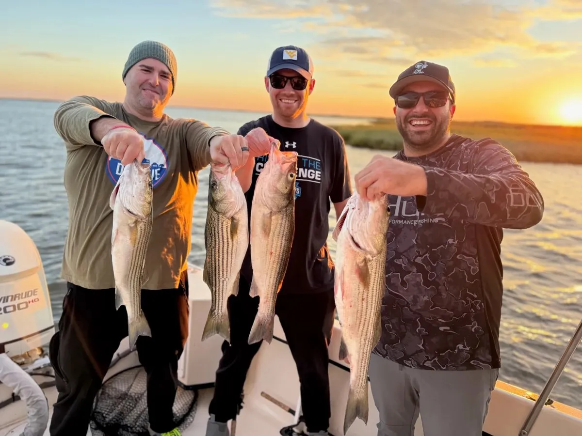 Three anglers holding striped bass at sunset on a FishPit Charters trip