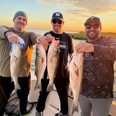 Three anglers holding striped bass at sunset on a FishPit Charters trip