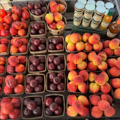 Baskets of peaches and plums next to jars of homemade jam at Oakley's Farm Market in Hebron, MD