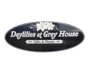 Daylilies at Grey House in Laurel, DE