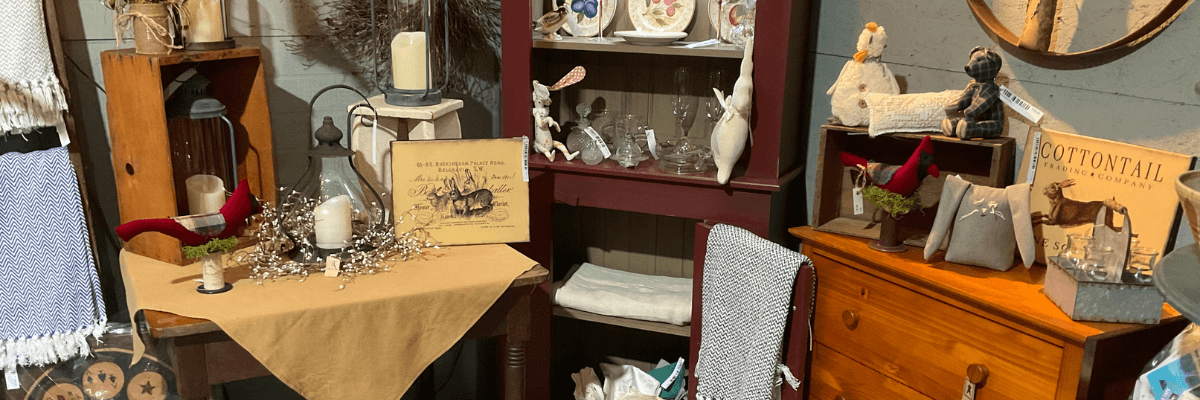 Daylilies at Grey House in Laurel, DE