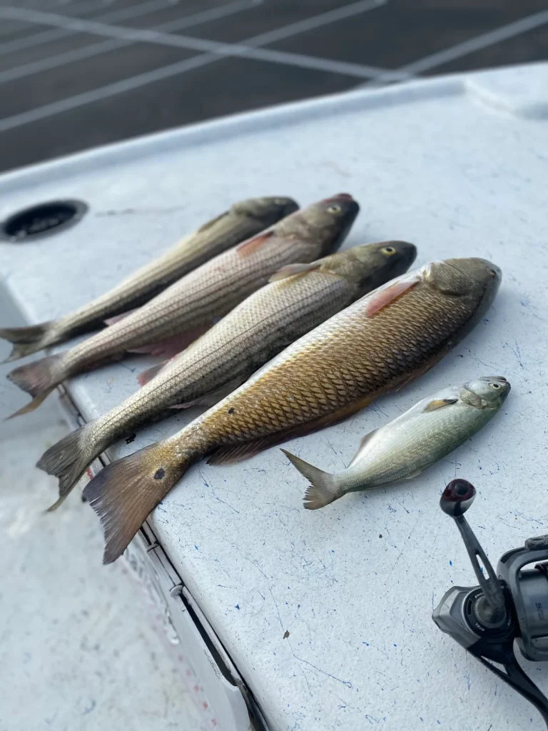 FishPit Charters