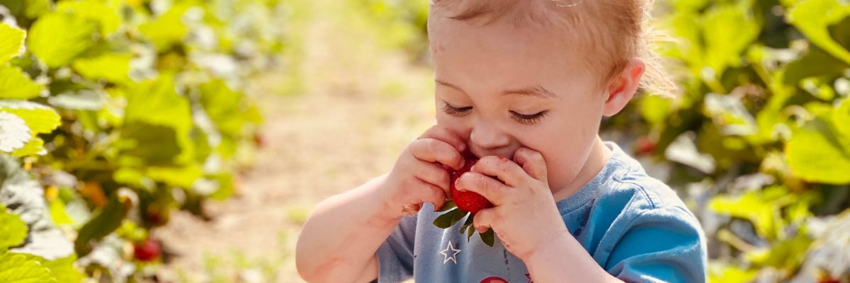 Oakley's Farm Market - Hebron, Maryland